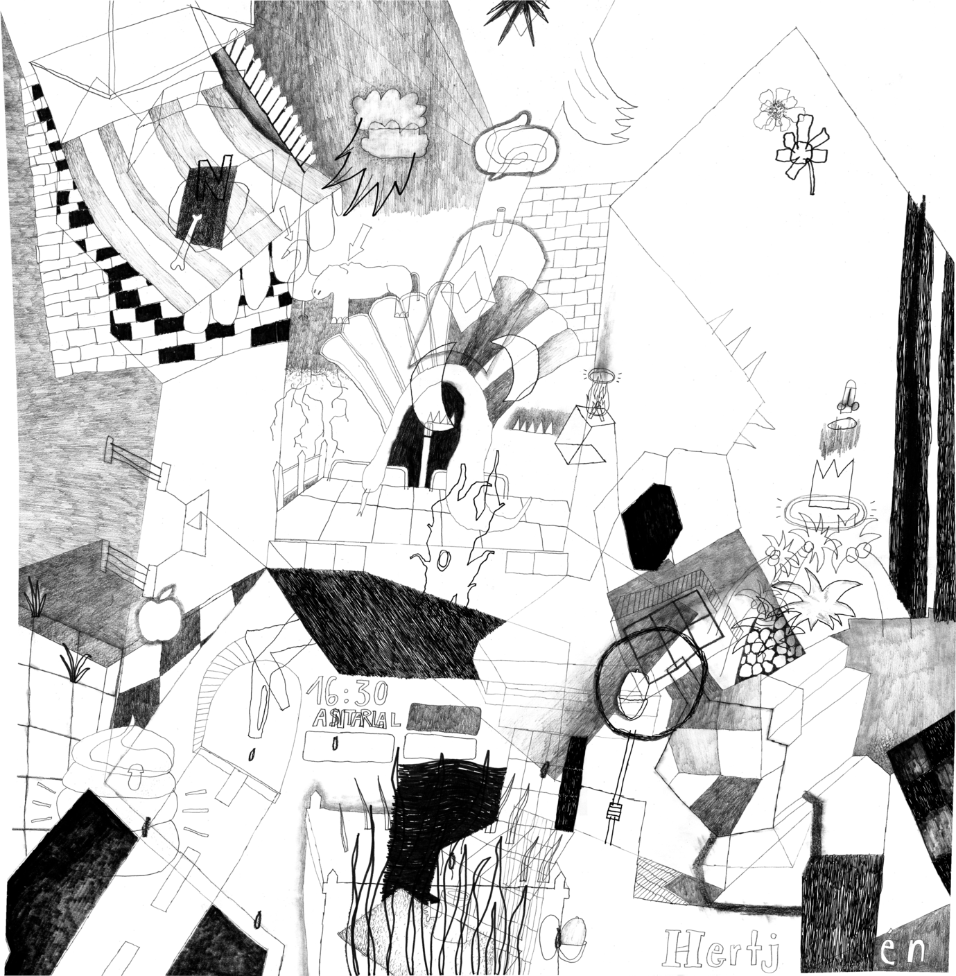 Drawing Teresa Mayr