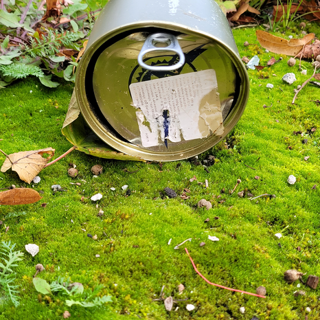 Picture of moss and an open tin can.