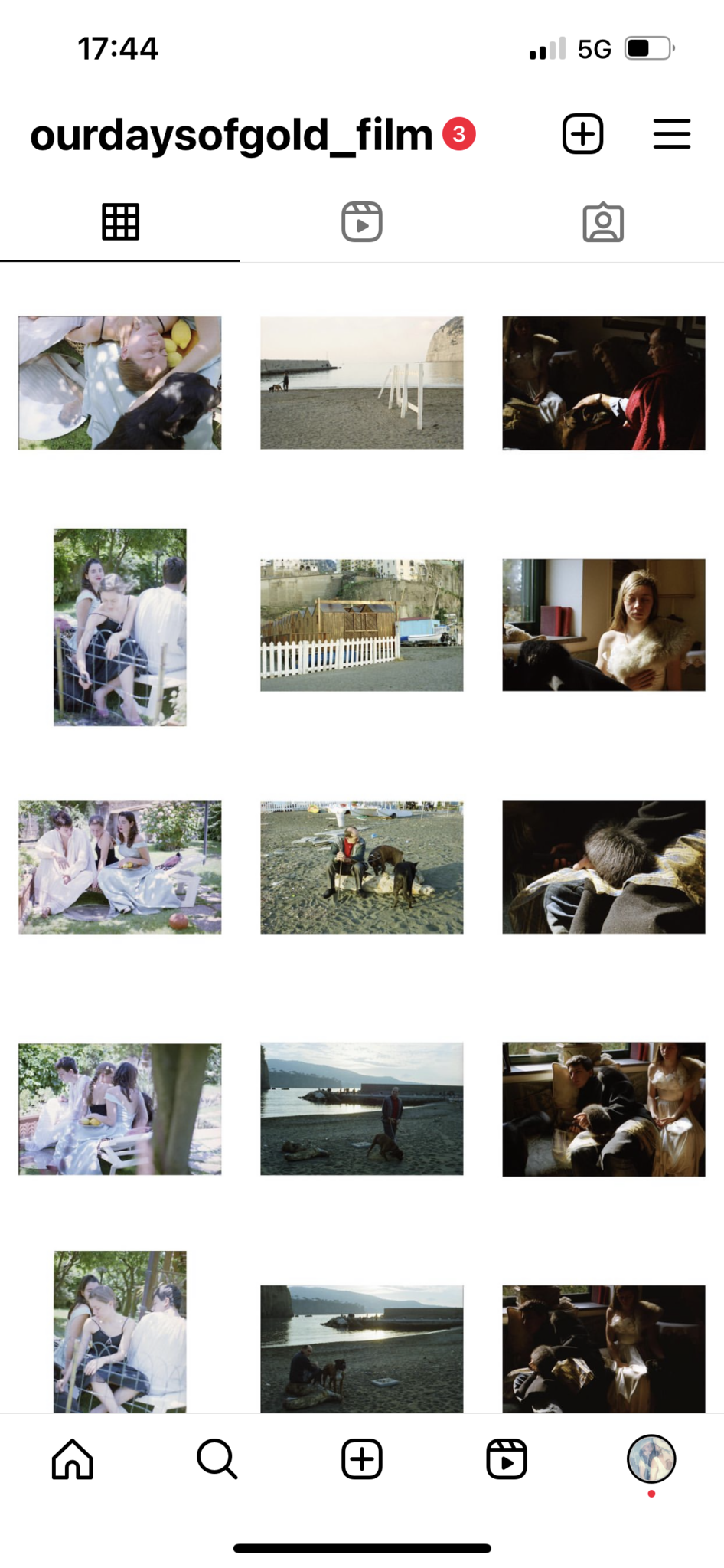 Screenshot of the Instagram profile @ourdaysofgold_film showing a 4x4 grid of twelve photographs. The images depict quiet, intimate moments: a group of young peiple gathered in a garden, figures reclining on beaches, dogs resting beside people, and interiors lit with soft, golden tones. Scenes alternate between outdoor sunlight and dim, shadowed rooms,
