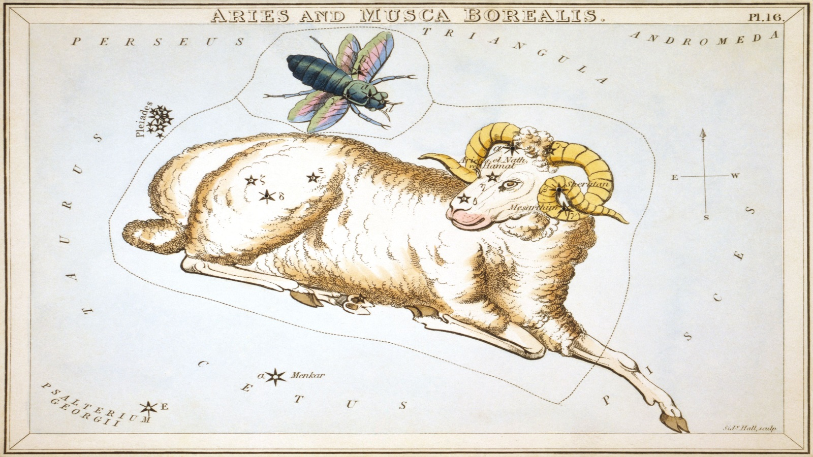 Aries in heaven