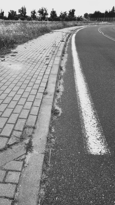 Nature Monument, Swadzim, Greater Poland, Poland, photo July 2024