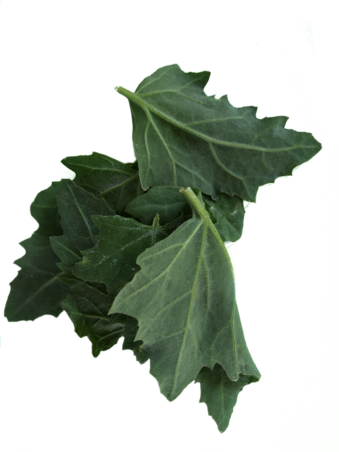 pile of green leaves