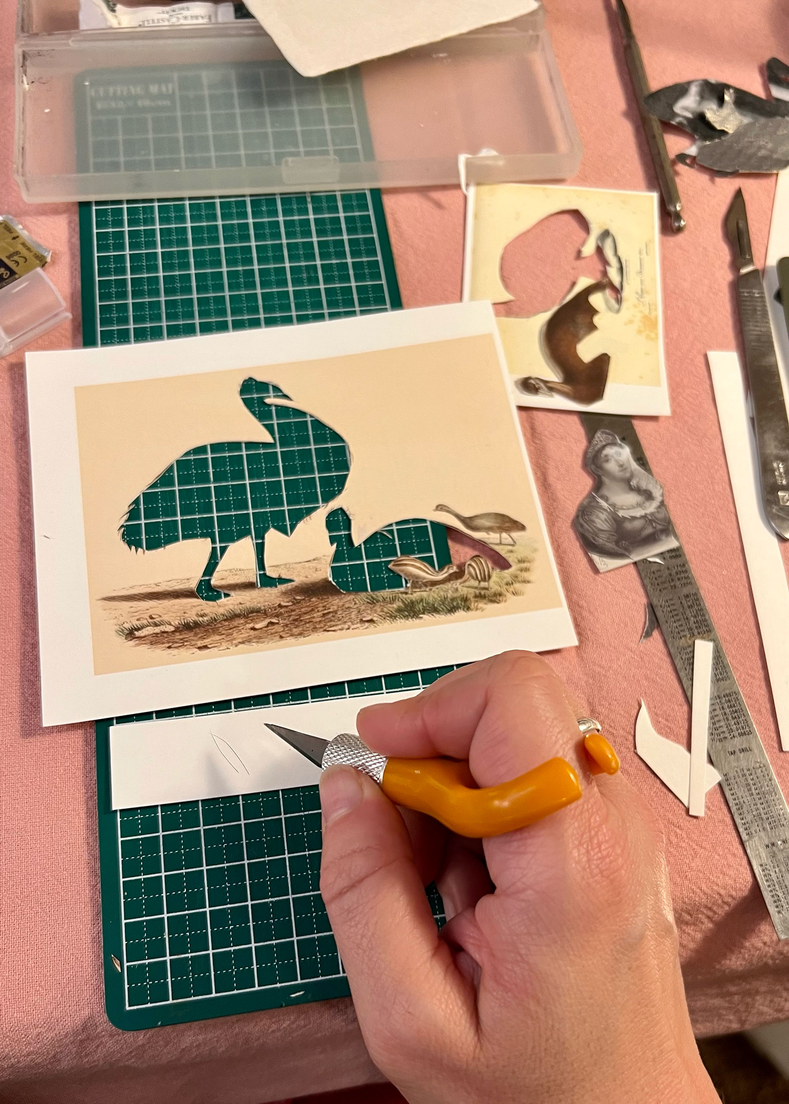 A photograph showing a hand with a cutting tool hovering above a range of cut pieces of paper including pictures of emus, on a green cutting matt.