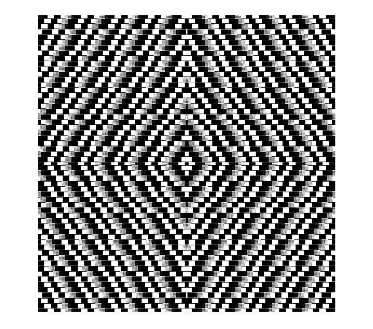 High-density black-and-white checker-like field composed of repeated modules forming symmetrical optical rhythms.