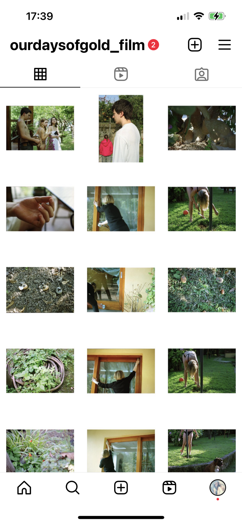 This grid view from Instagram shows fifteen photographs arranged in a 3x5 format.
The images alternate between close-ups, medium shots, and wider views, with a mix of people, details of hands, windows, and garden scenes. Several photographs focus on a woman cleaning glass doors, captured from different angles, while others show figures outdoors in grassy or wooded areas, as well as close views of soil, mushrooms, fruit on the ground, and garden plants.