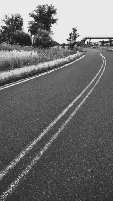 Nature Monument, Swadzim, Greater Poland, Poland, photo July 2024