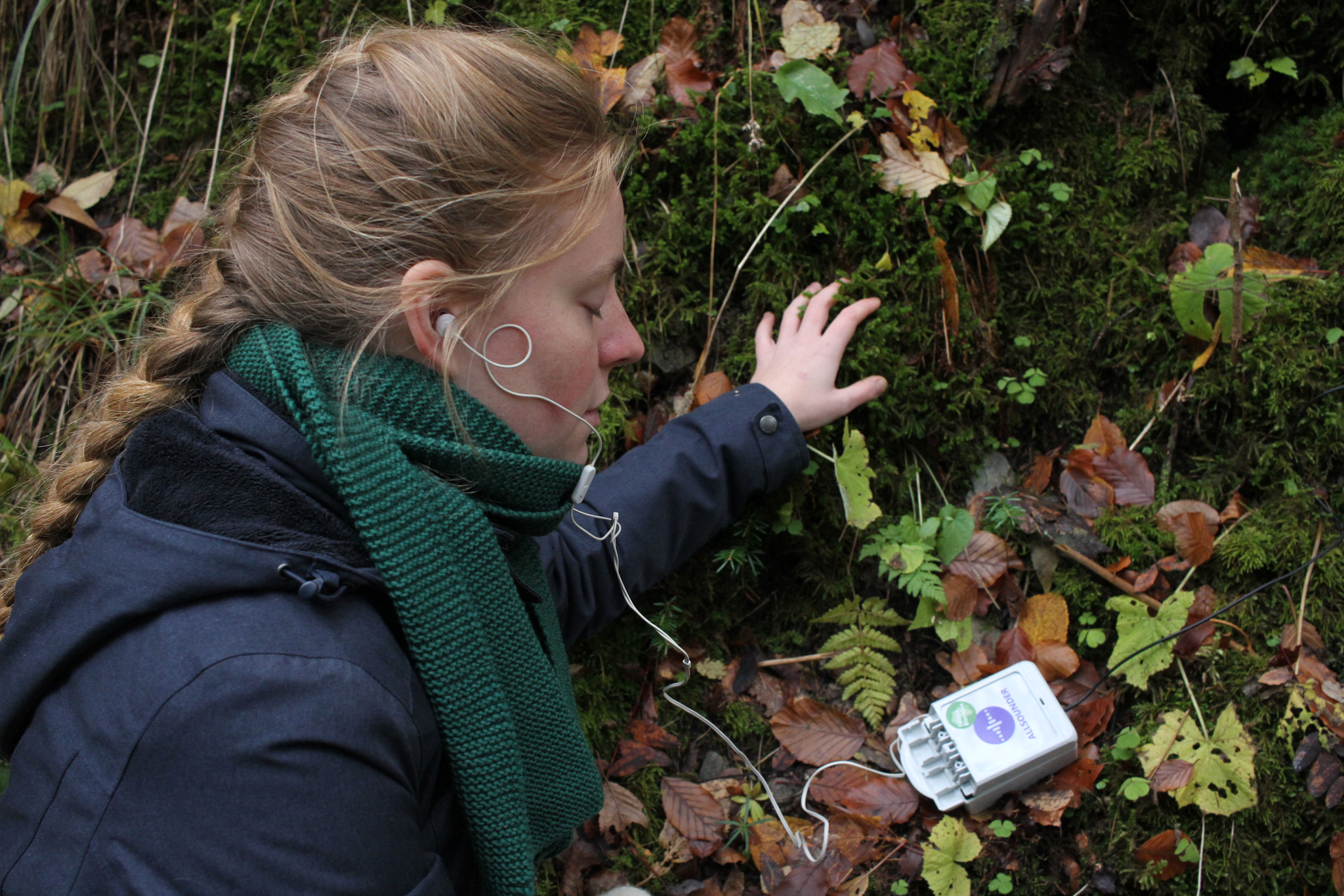 A participant from the Soil Witnesses group wearing headphones connected to a small recording device placed among fallen autumn leaves. She extends her hand toward the moss and small plants, appearing to listen and connect with the natural environment.