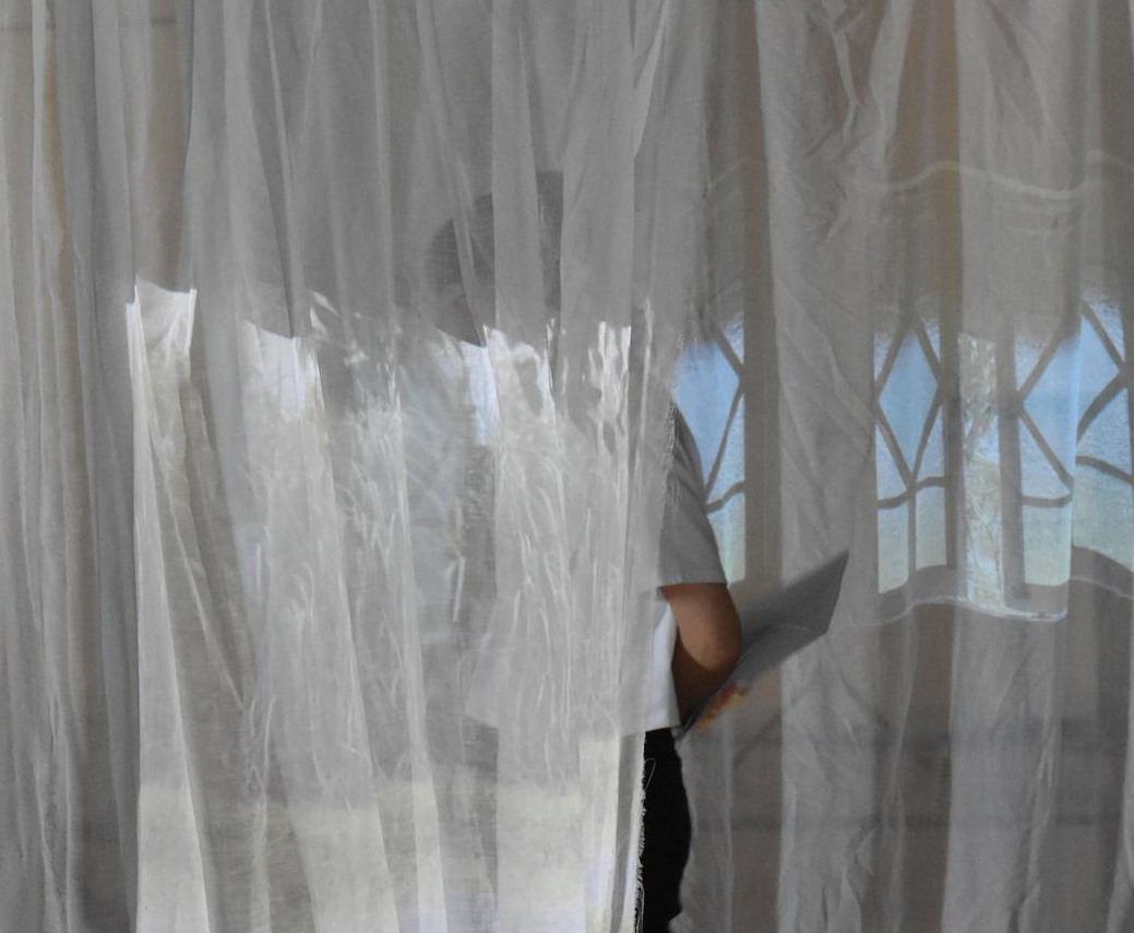 The artist is semi concealed, walking between two semi-opaque curtains and holding papers behind their back. The curtains show projections of sugarcane and typical Queenslander windows.