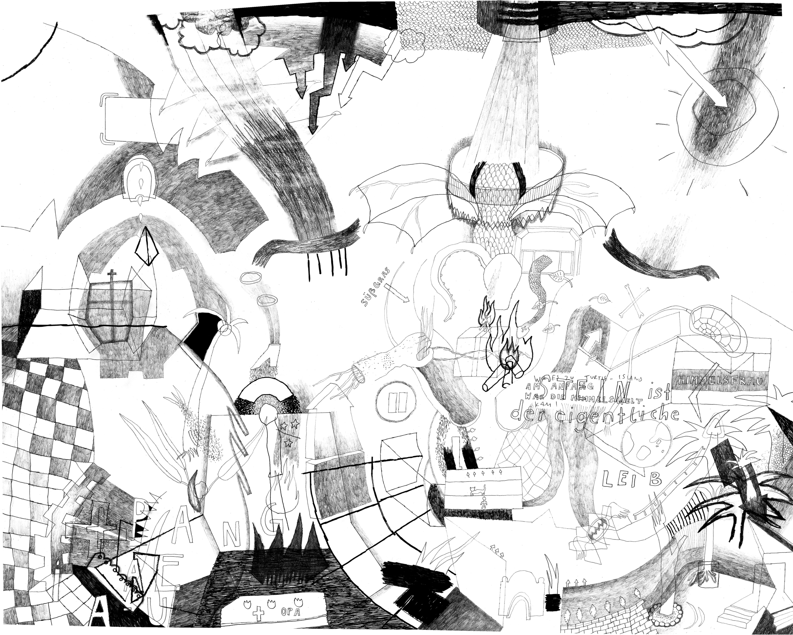 Drawing Teresa Mayr