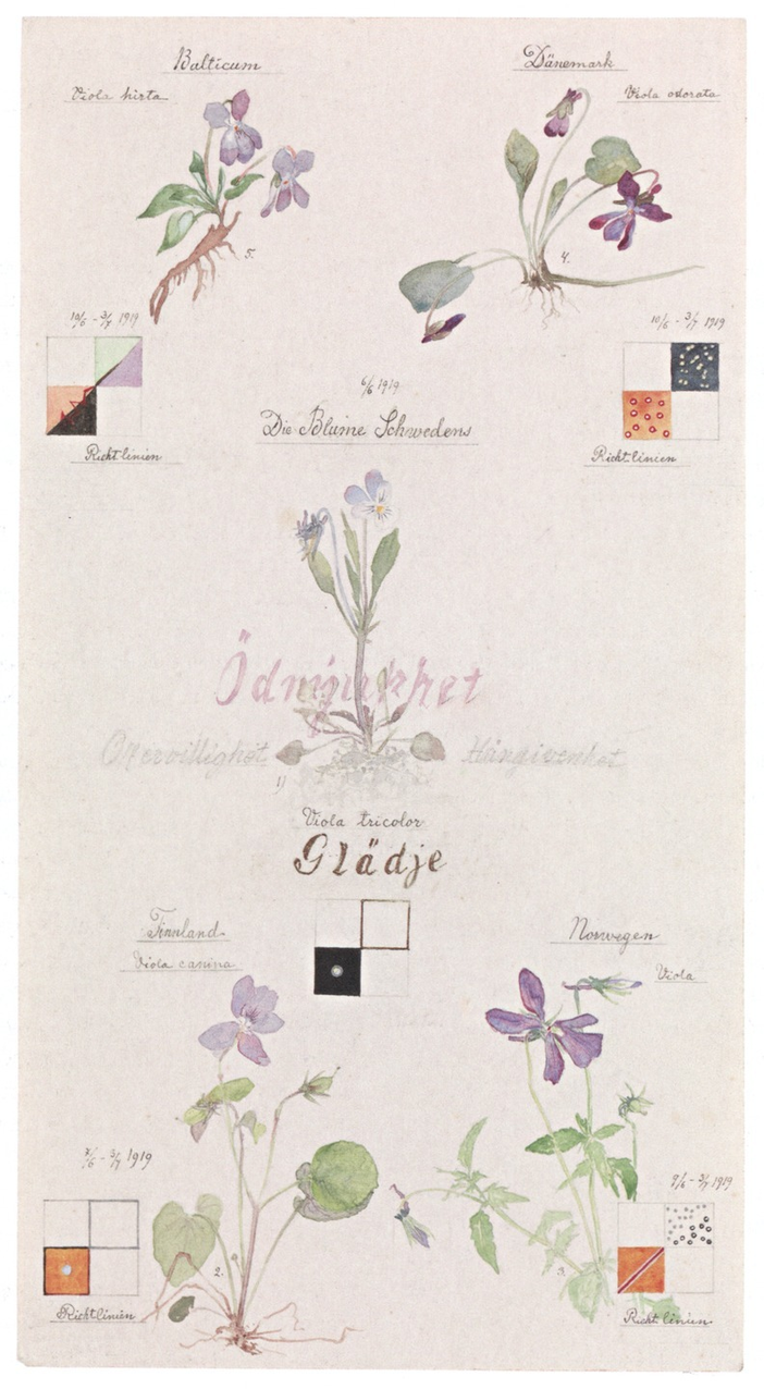 Veilchen mit Richtlinien, Hilma af Klint