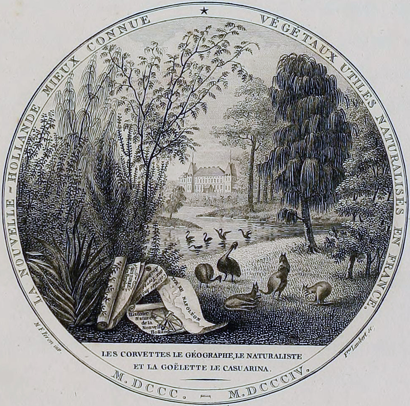 An etching of dwarf emus and other animals outside Chateau de Malmaison.