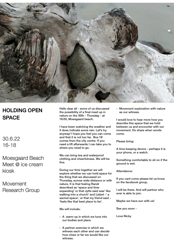 Session 8, 'Soft Eyes' Inquiry Research Group, Aarhus, Denmark