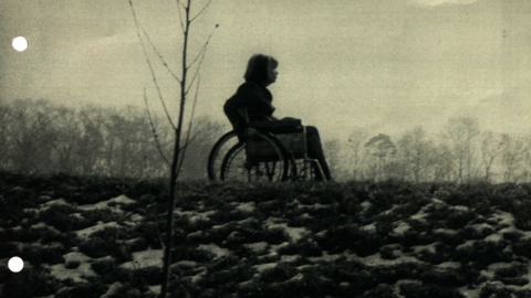 Searching for the photographer