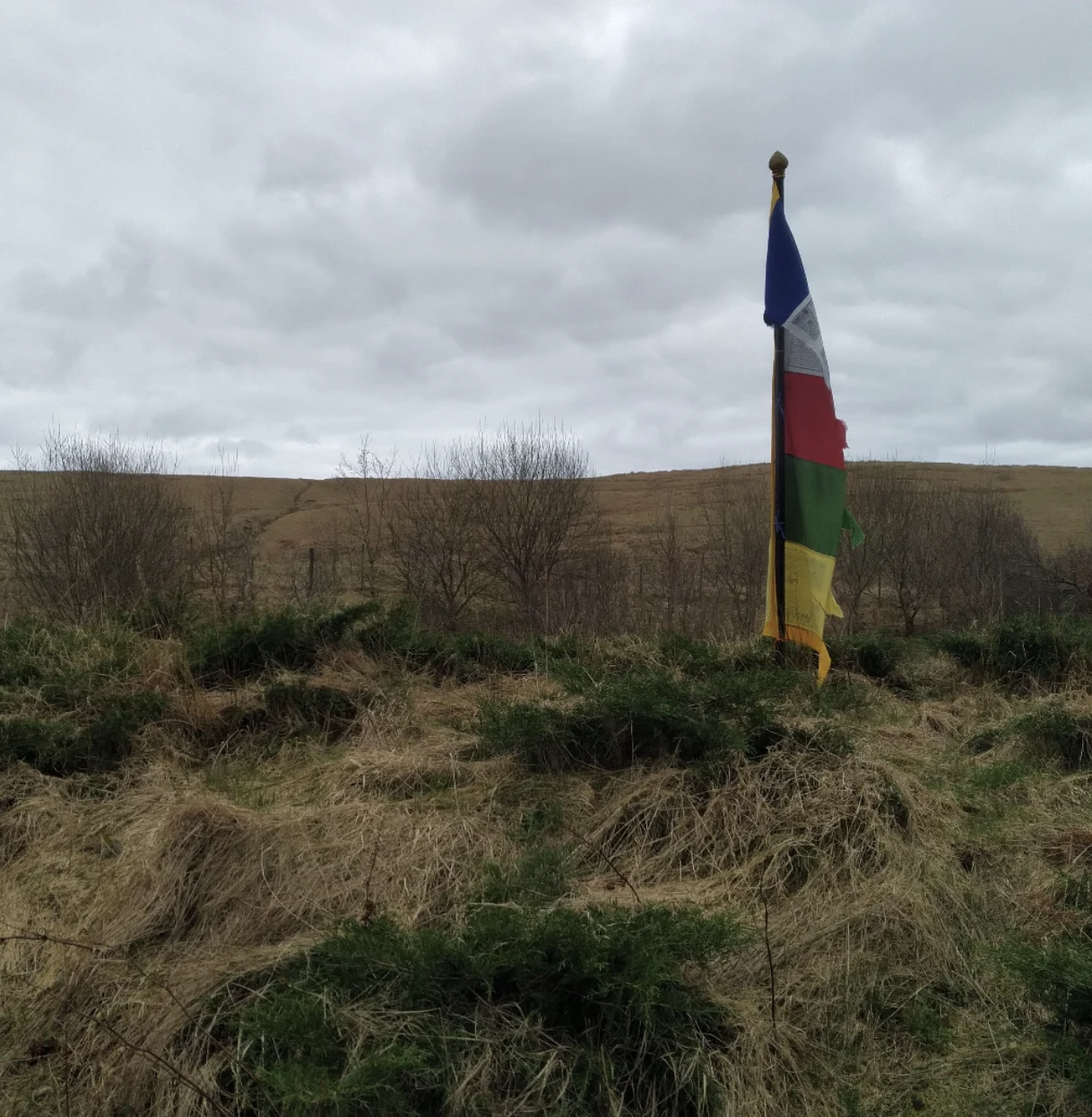 Image depicts the hills around Eskdalemuir and some prayer flags outside the Samye Ling Monastery.