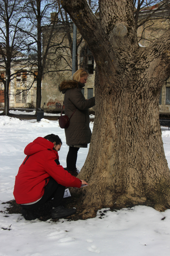 Workshop "Sensing the urban nature" in Narva, Estonia, 2023