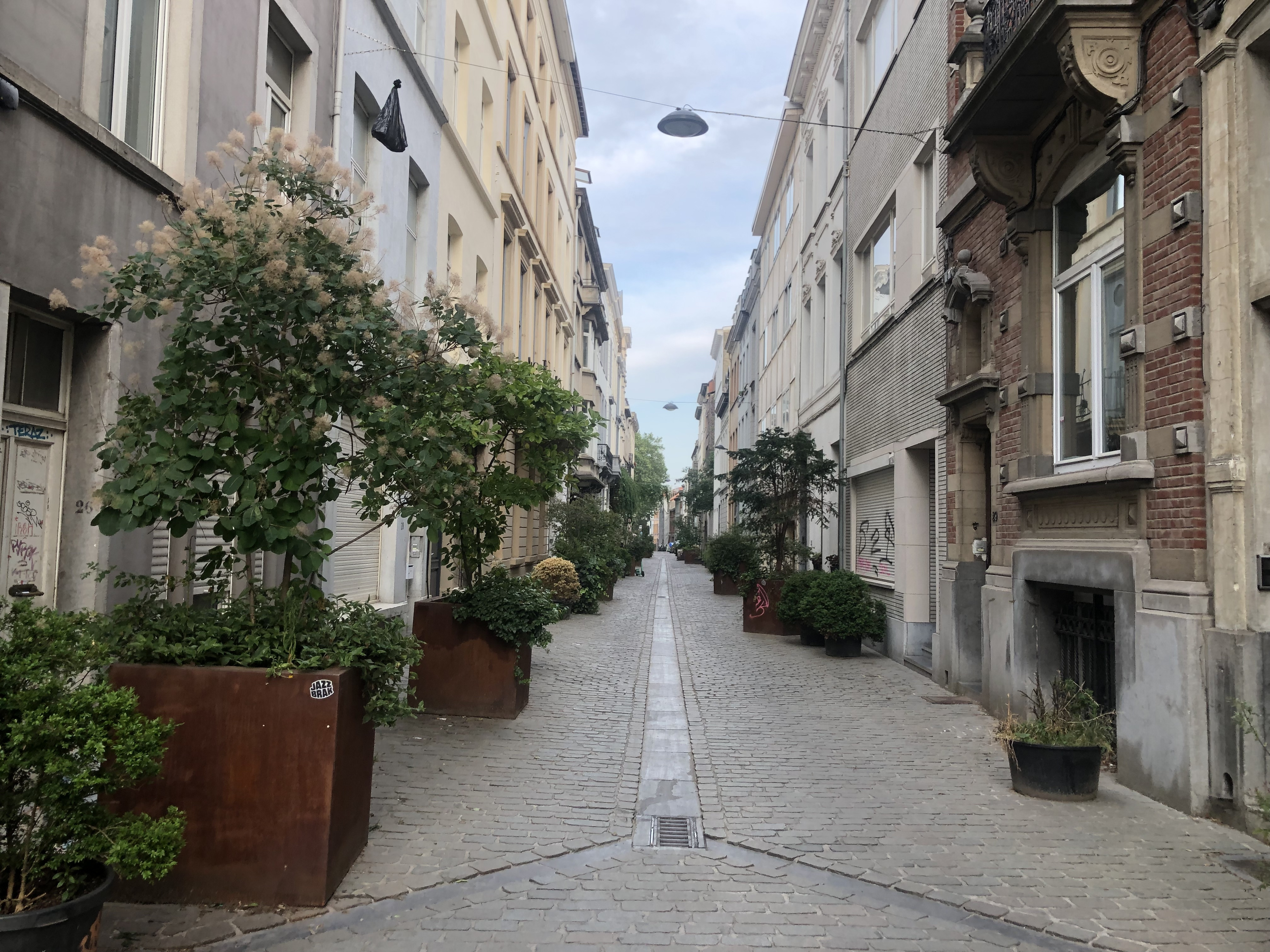 Street background
