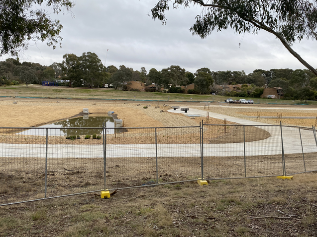 Wetland construction