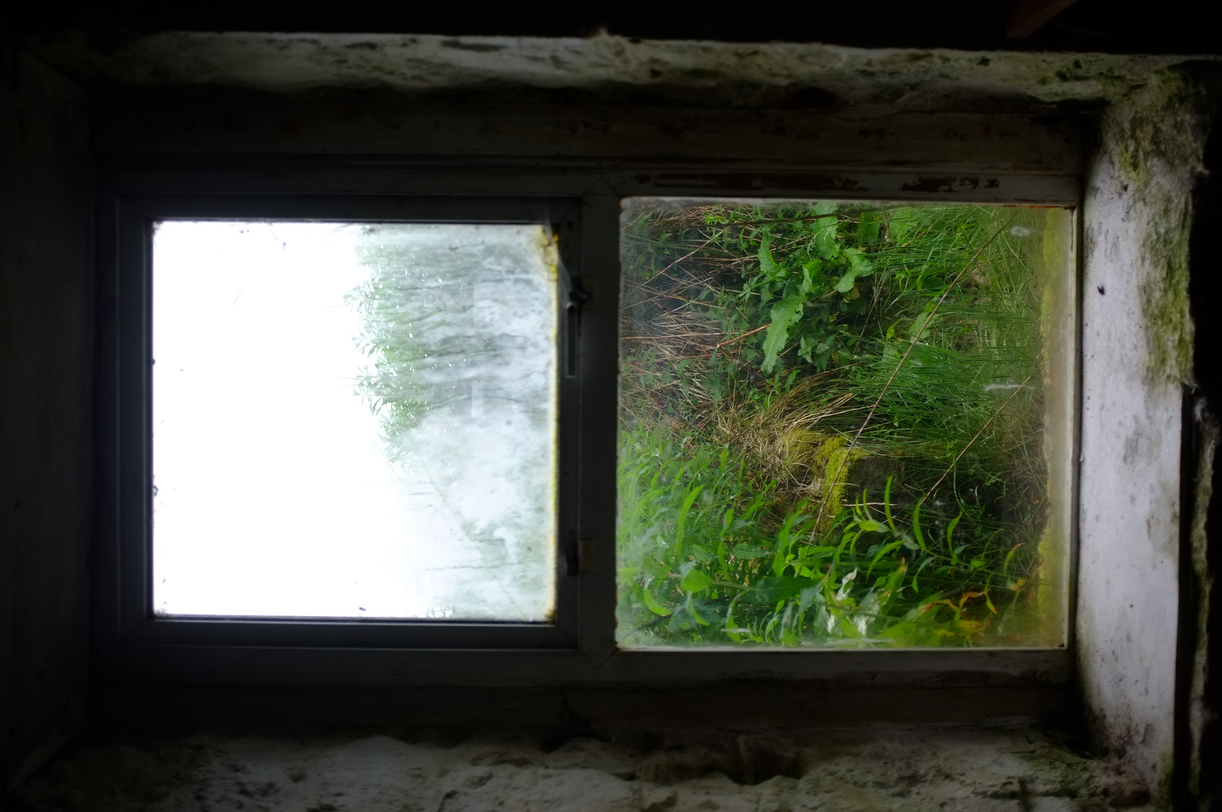 An old 2 paned window looking out on to ferny, mossy greenery. The upper pane is fogged.