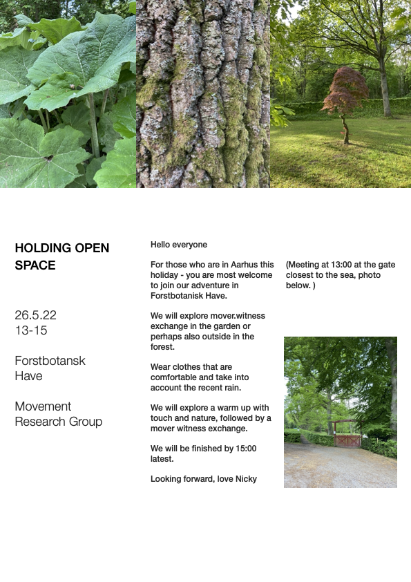 Session 6, 'Soft Eyes' Inquiry Research Group, Aarhus, Denmark