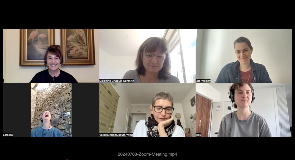 screenshot zoom meeting 07.08.2024
