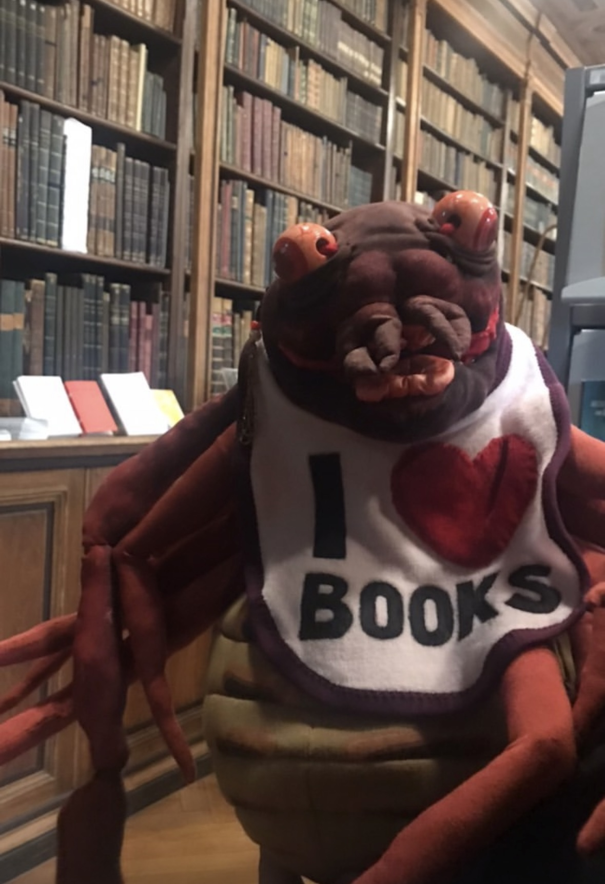 A scorpion puppet in a library in front of old books wearing a bib with the words "I heart Books". The book scorpion.
