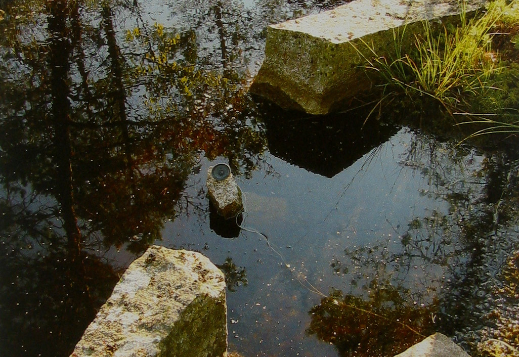 Trees are reflected in the water of a rock garden. Between two blocks a small, round loudspeaker lies on a piece of rock. A cable disappears into the water.