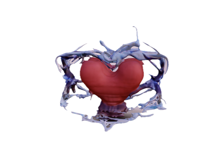 Speculative 3D "quantum heart"