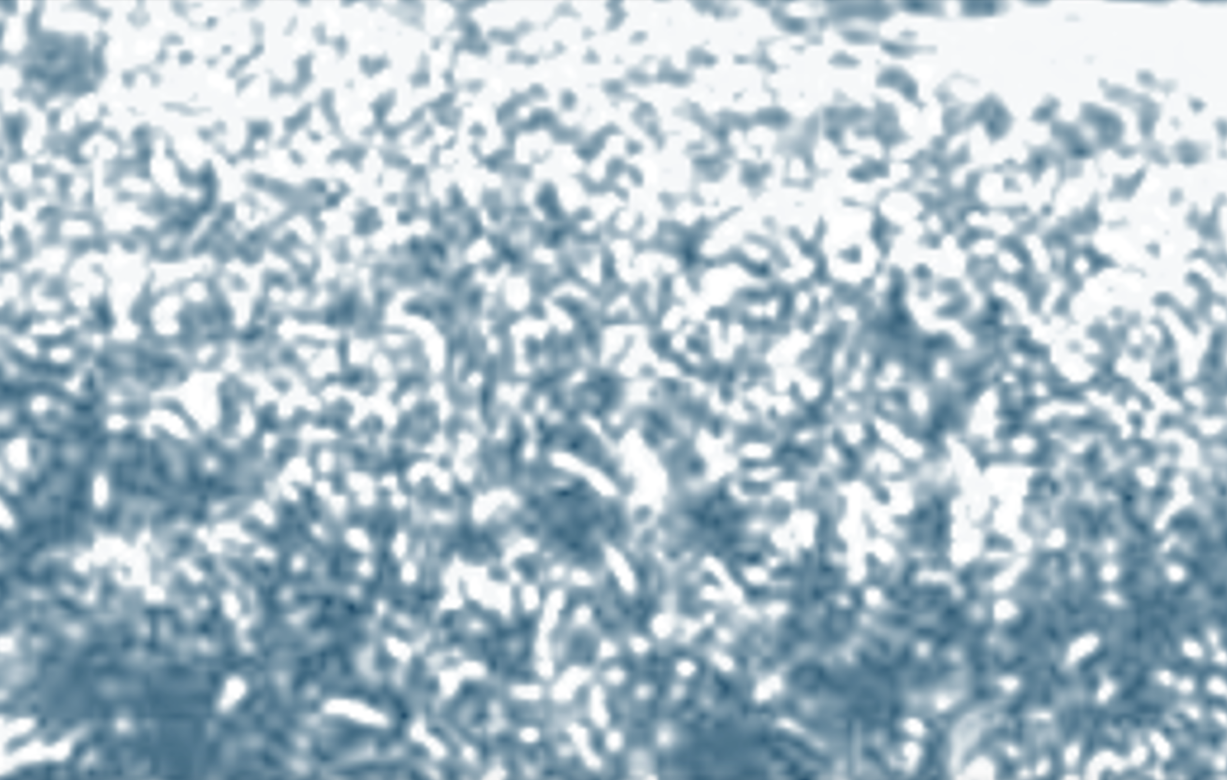 before there were drones