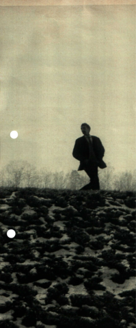 SEARCHING FOR THE PHOTOGRAPHER