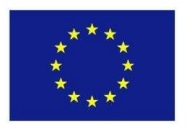 This project has received funding from the European Union’s Horizon 2020 research and innovation programme under the Marie Sklodowska-Curie grant agreement No 101033579.