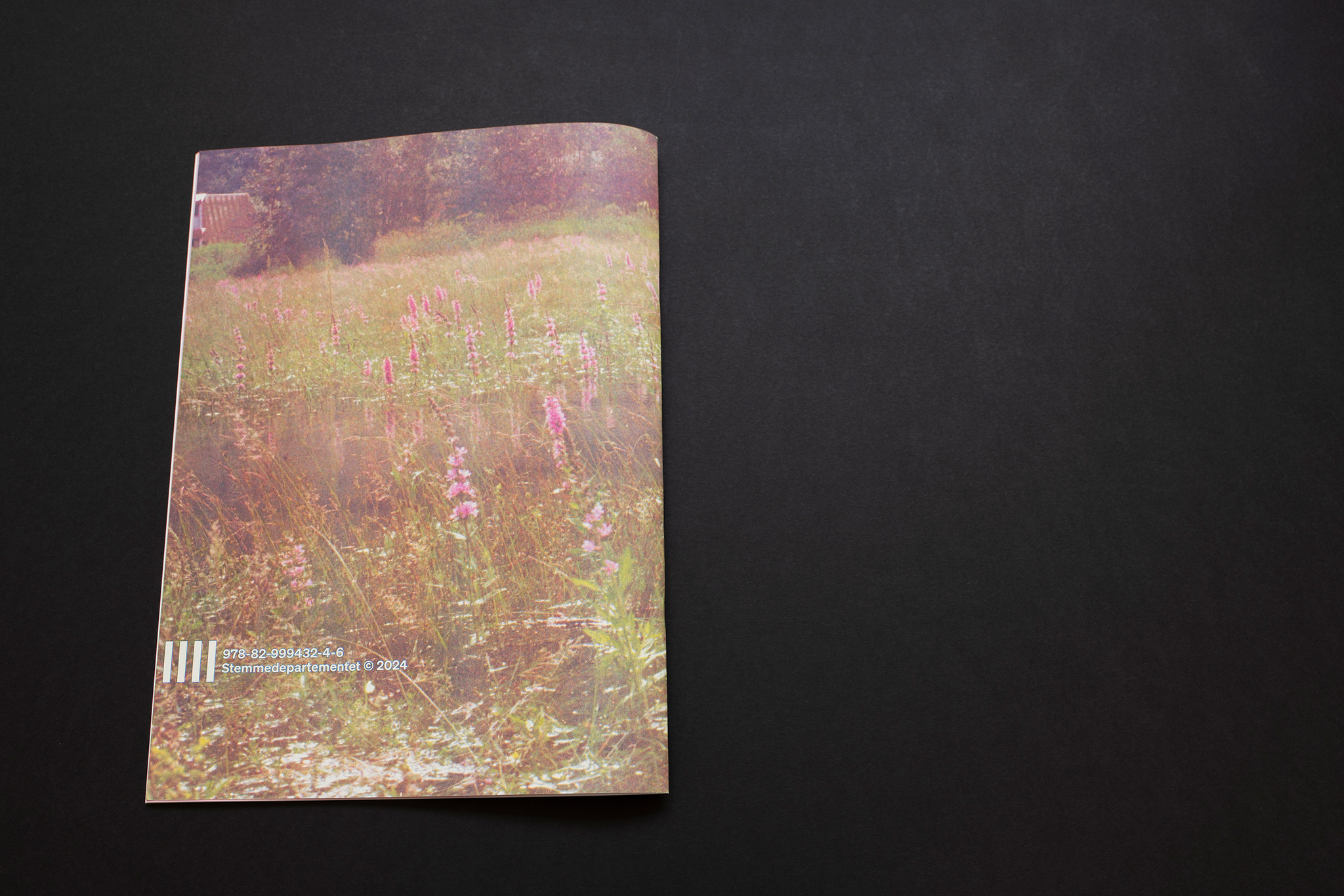 Stemmer / Voices publication
Foto: Bjarte Bjørkum