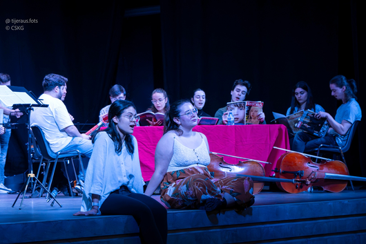 Link to Research Catalogue - an international database for artistic research