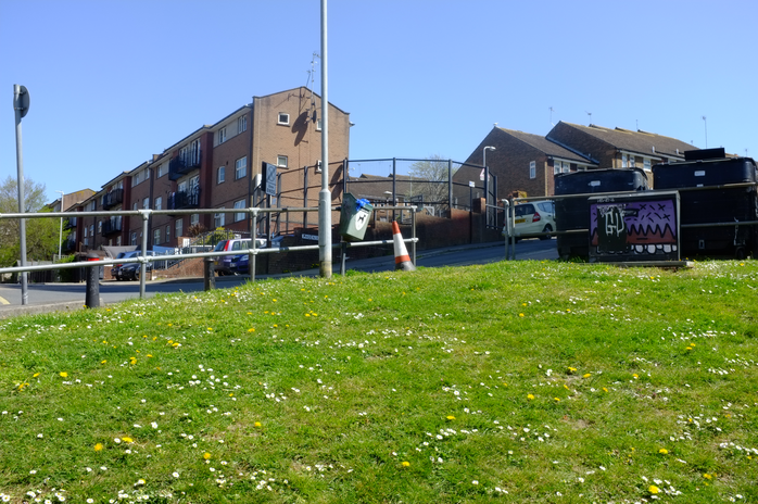A photo of a grass verge with houses in the background.