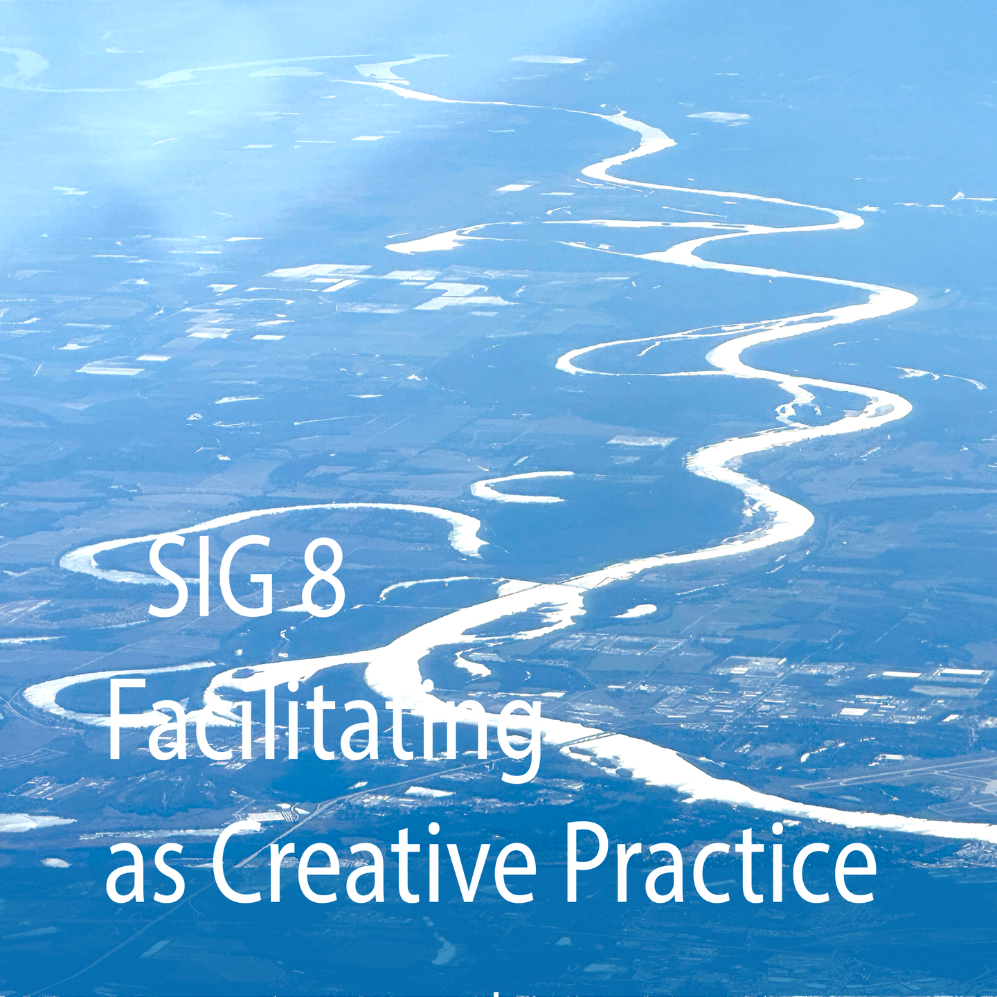SIG 8: Facilitating