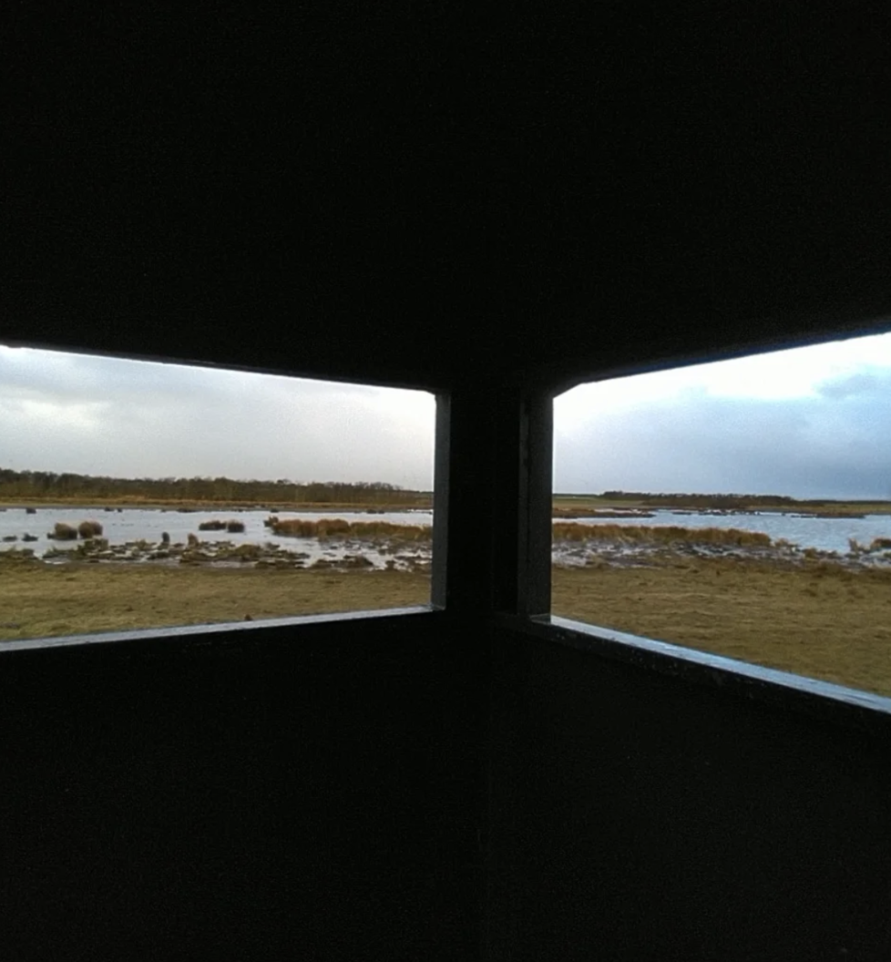 A view from a bird hide along the Northumberland coast. The photo communicates the notion discussed throughout the text that both data and data collection can take many forms.
