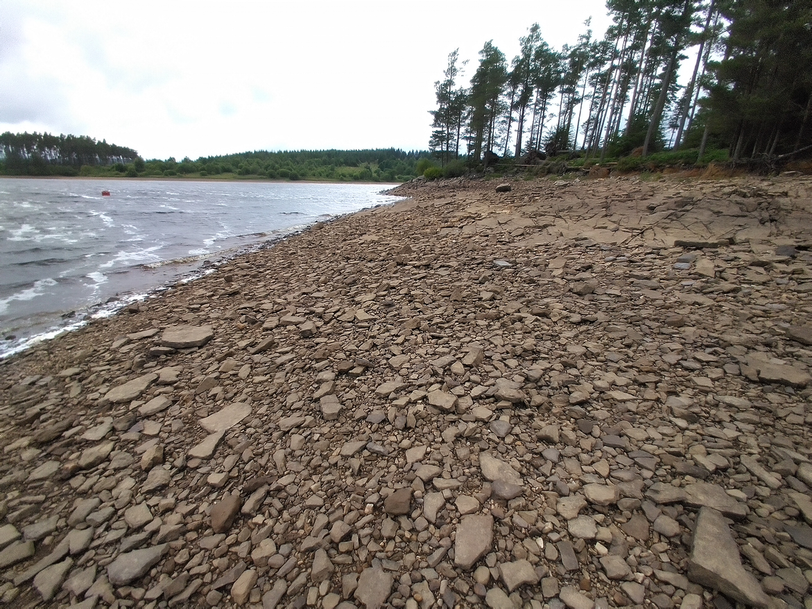 A photo displaying a curve at the meeting at the nebulous boundary of land and water. This and each subsequent photo show how the curves become more complex at each order of magnitude of magnification. Meanwhile, the notion of where land ends and water begins also increases in complexity.