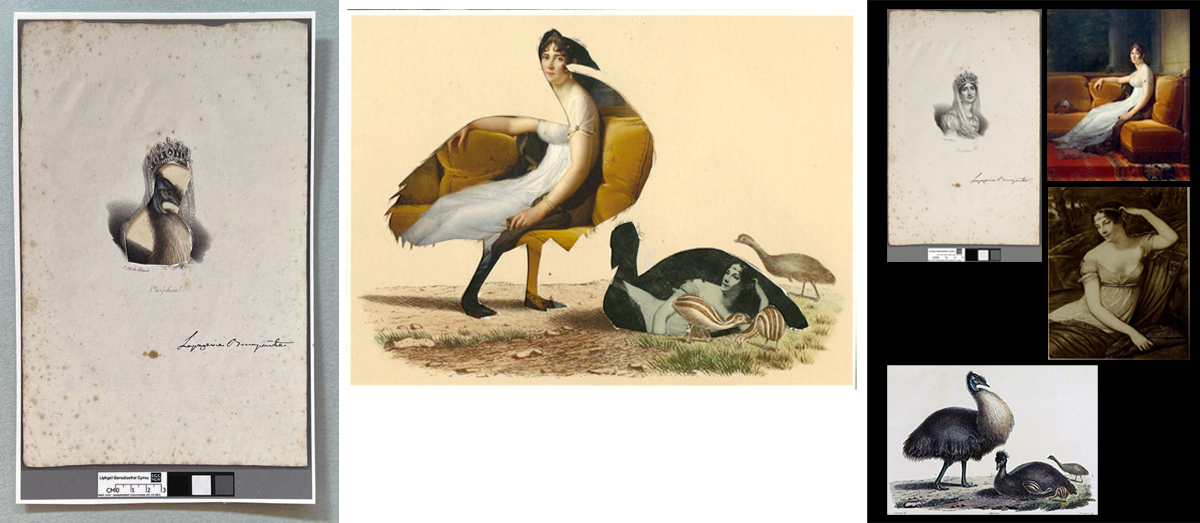 Paper collages mixing up illustrations of dwarf emus with photographs and paintings of Empress Josephine