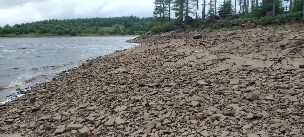 A photo displaying a curve at the meeting at the nebulous boundary of land and water. This and each subsequent photo show how the curves become more complex at each order of magnitude of magnification. Meanwhile, the notion of where land ends and water begins also increases in complexity.