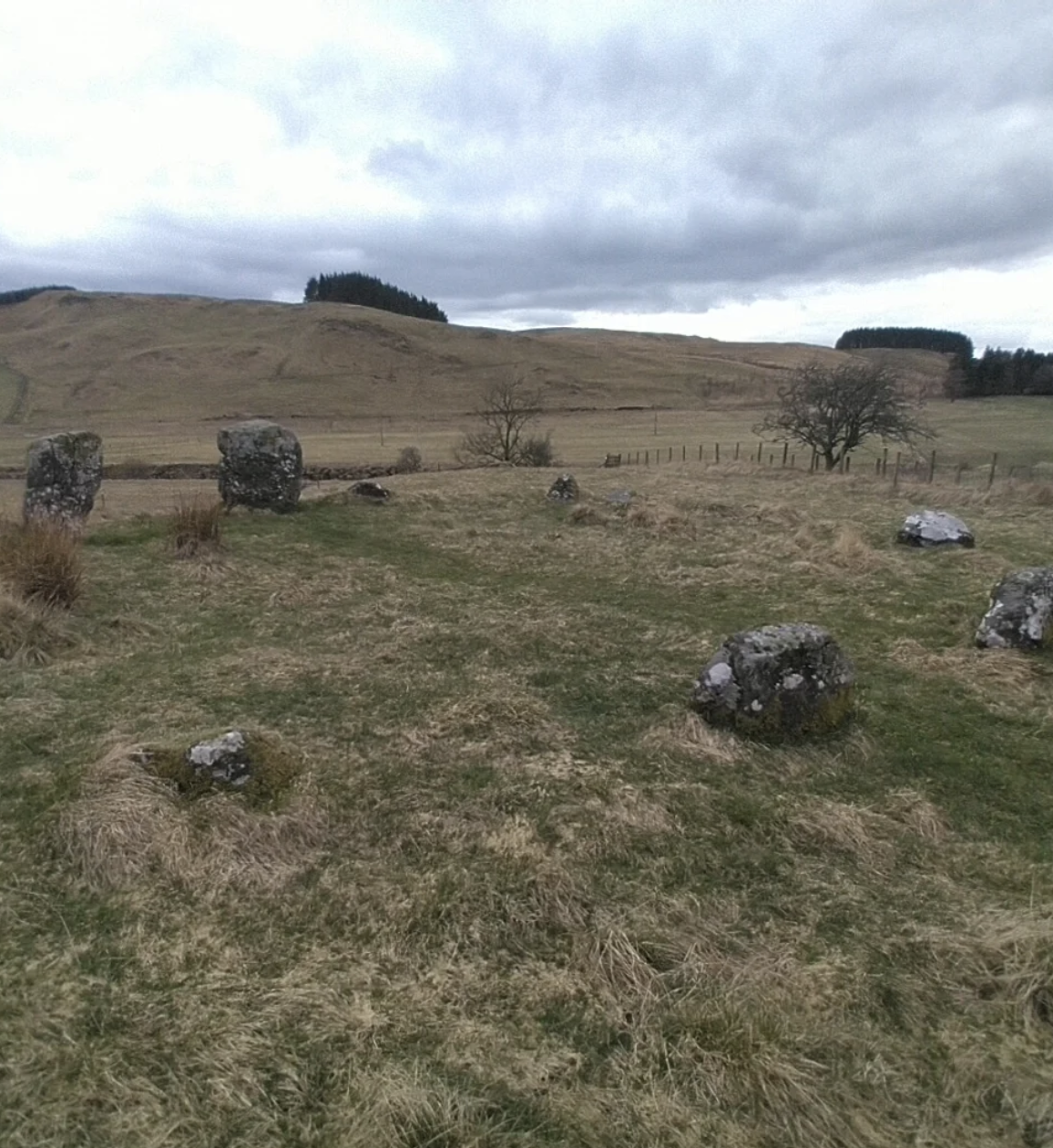 A photograph of the prehistoric Loupin Stanes stone circle near Eskdalemuir, Scotland.