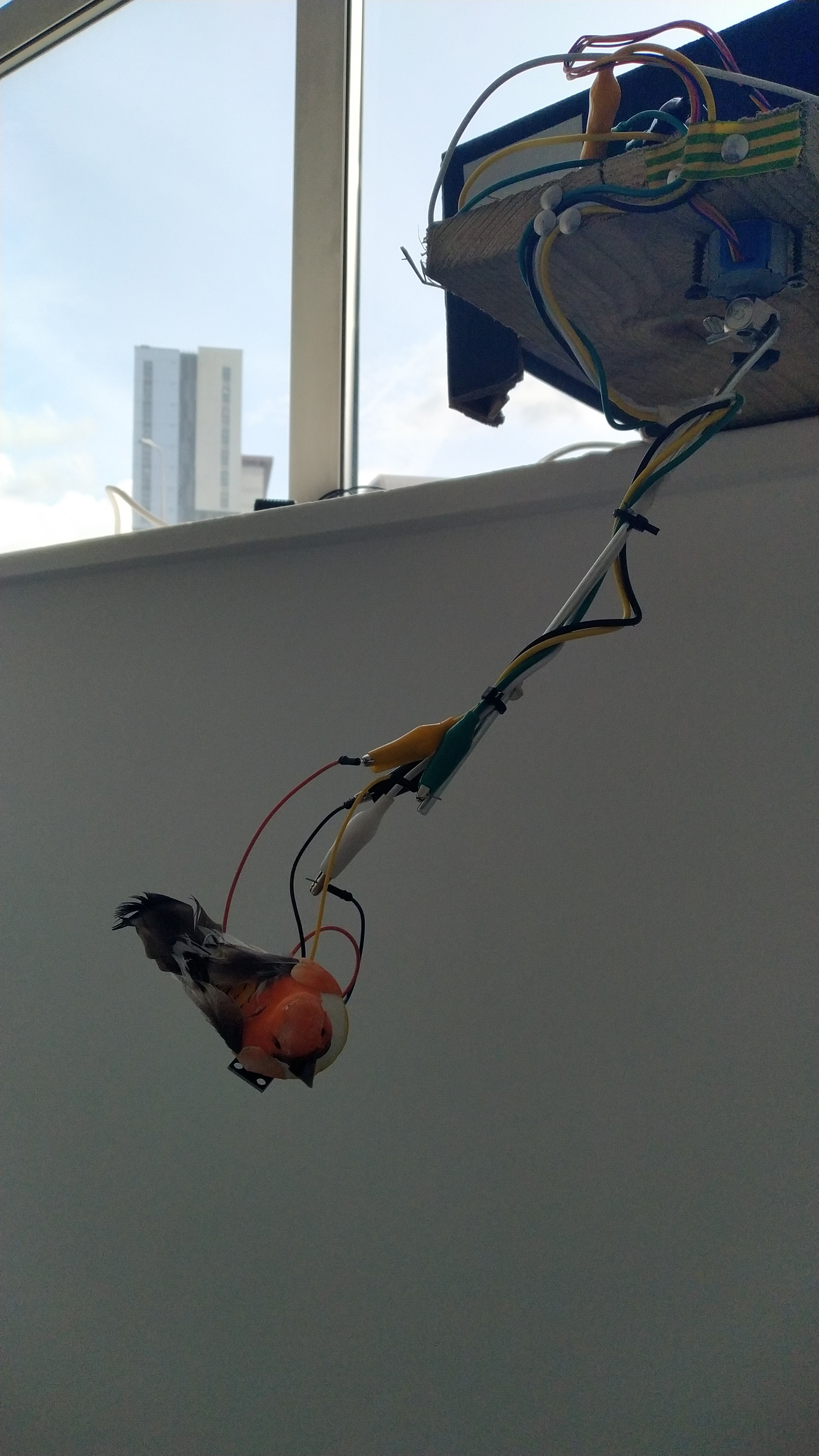 An installation view of Bird on a Wires from an exhibition in Vane Gallery, Newcastle-Upon-Tyne, UK.