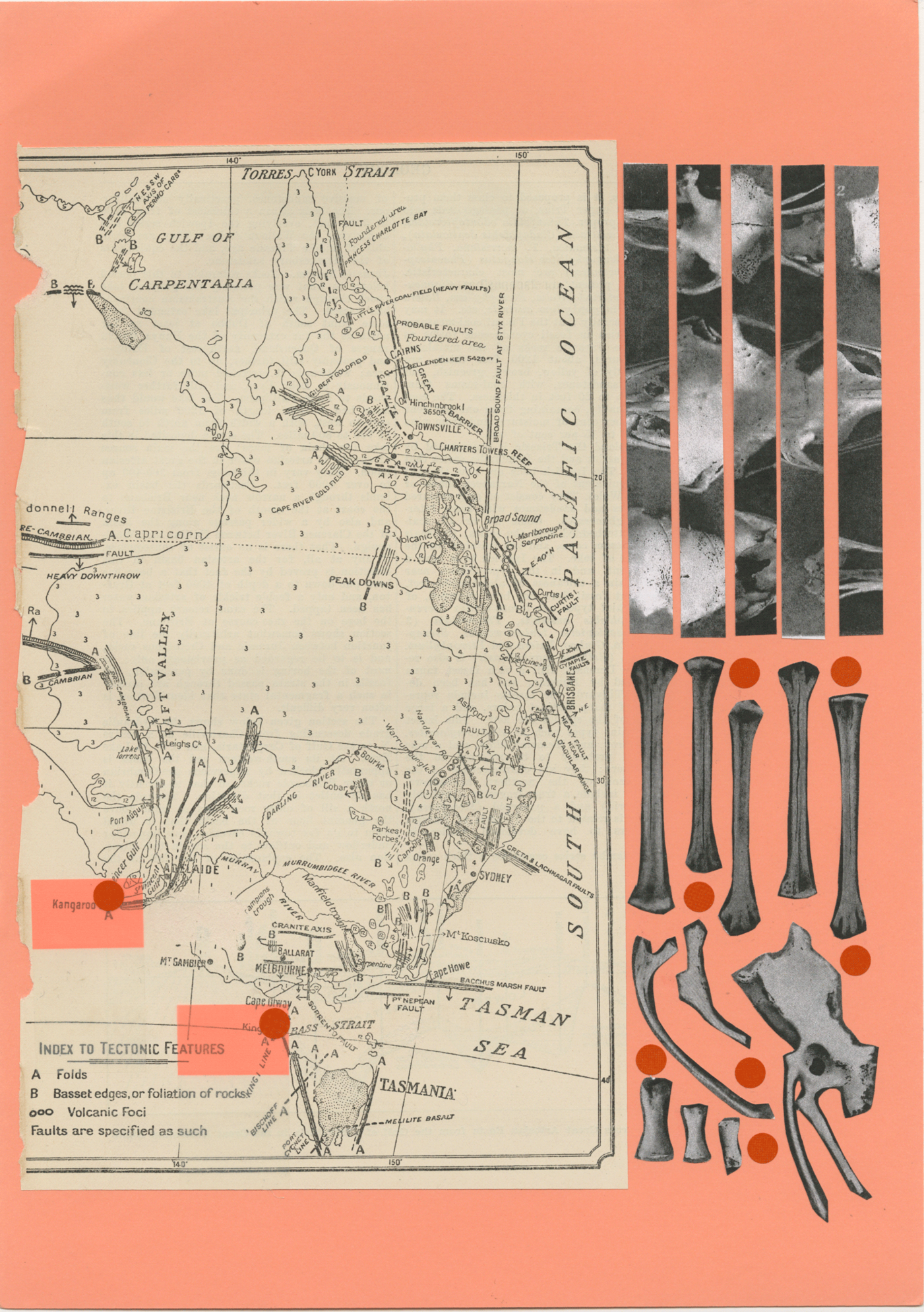 Paper collage from black and white archival photographs of emu bones, a map and coloured stickers on a coral pink background