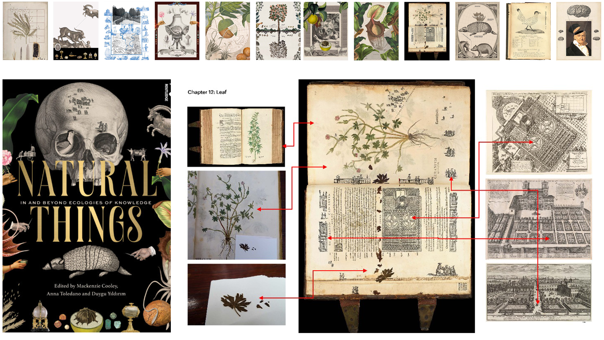 Internal spreads and front cover from the book Natural Things in Early Modern Worlds, as well as a diagram that shows the source material for one of the collages.