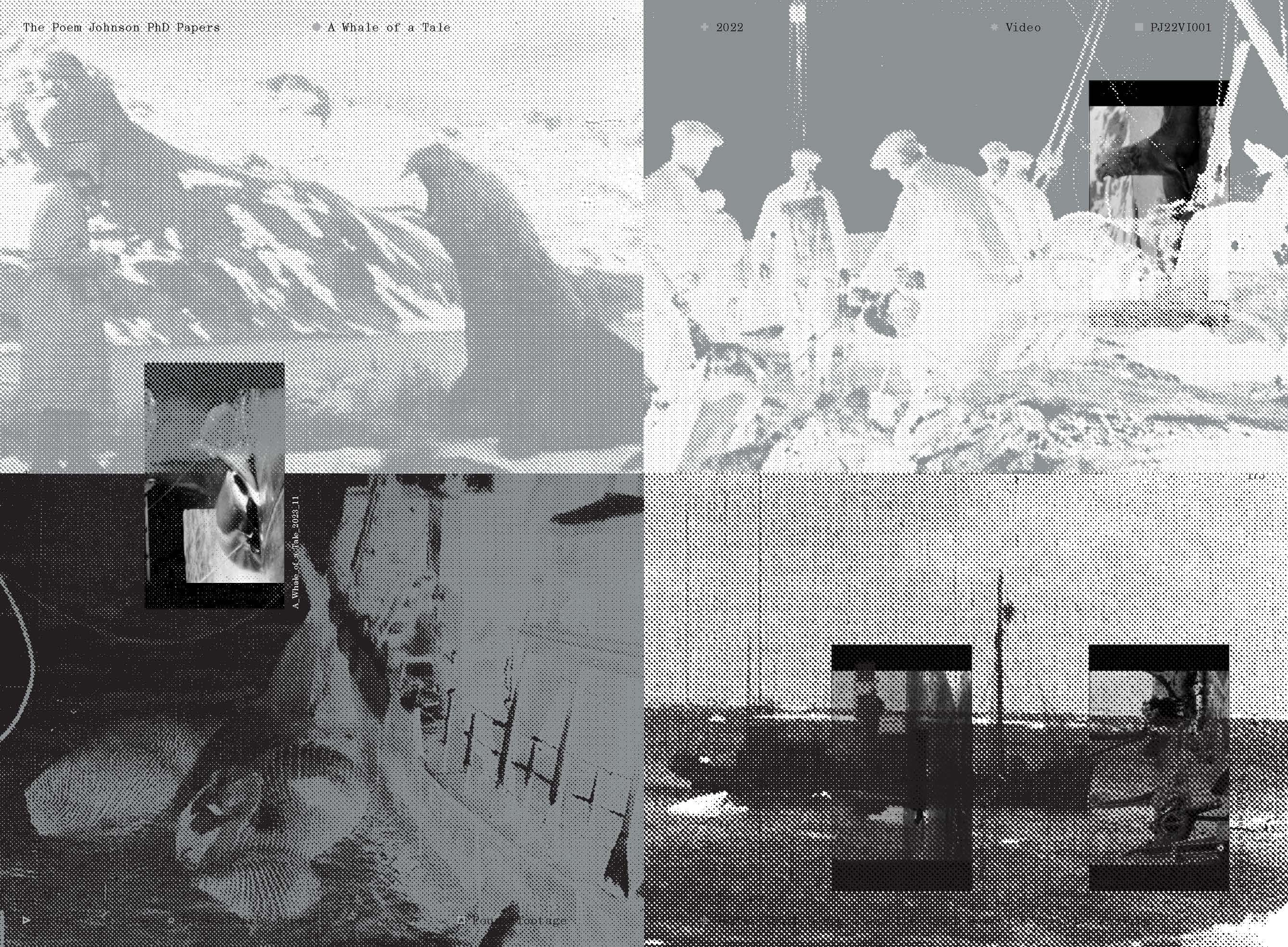 The Poem Johnson PhD Papers (Book)