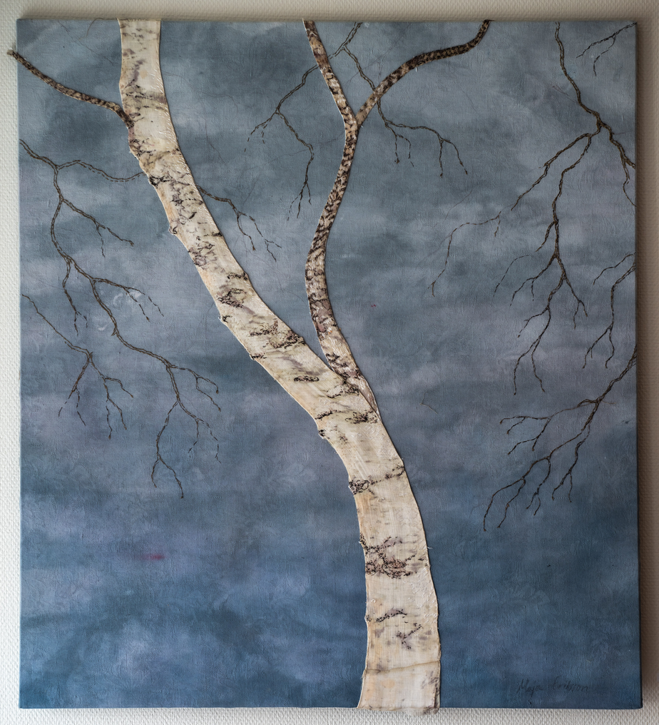Betula Pentula "tristis"