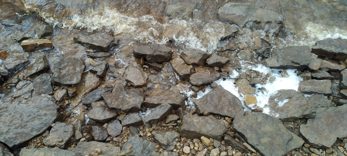 A photo displaying a curve at the meeting at the nebulous boundary of land and water. This and each subsequent photo show how the curves become more complex at each order of magnitude of magnification. Meanwhile, the notion of where land ends and water begins also increases in complexity.