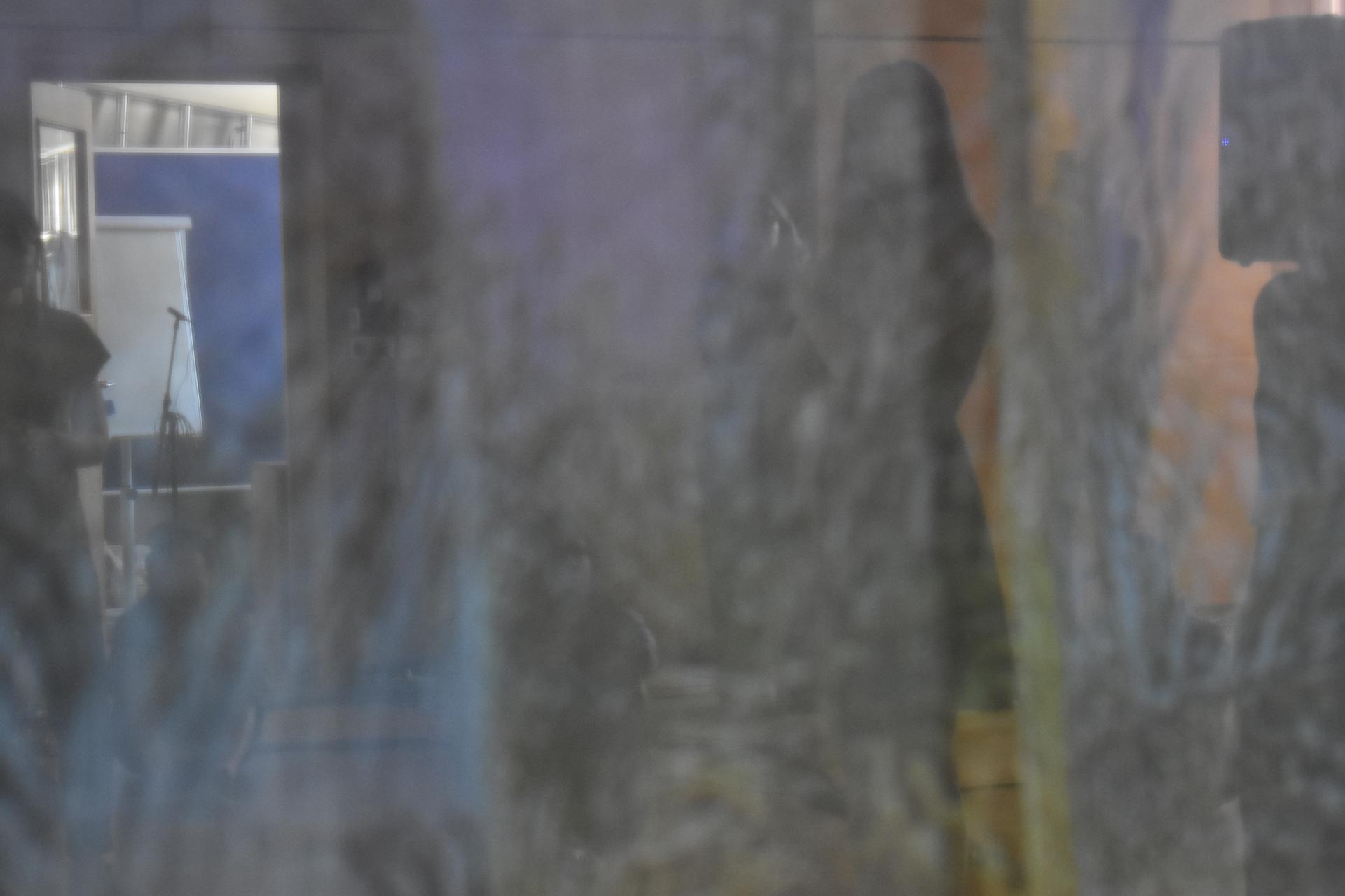 Looking through a semi-opaque curtain of people listening to the lecture-performance.