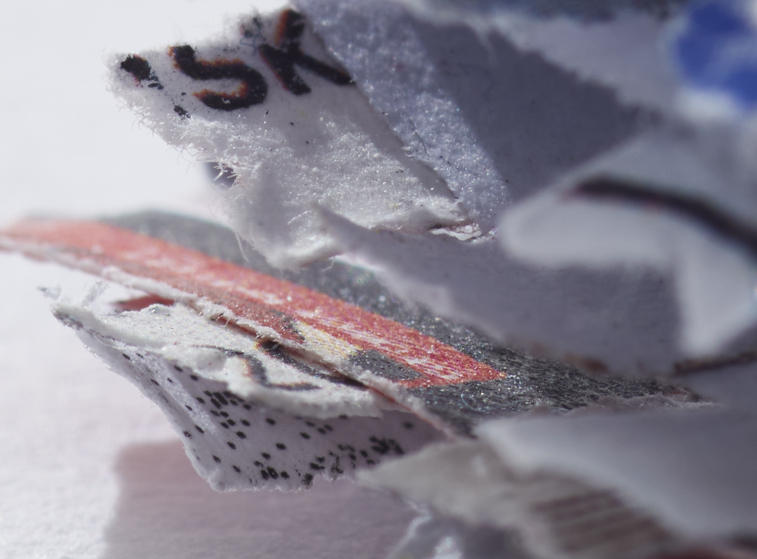 Photo: Øystein Klakegg