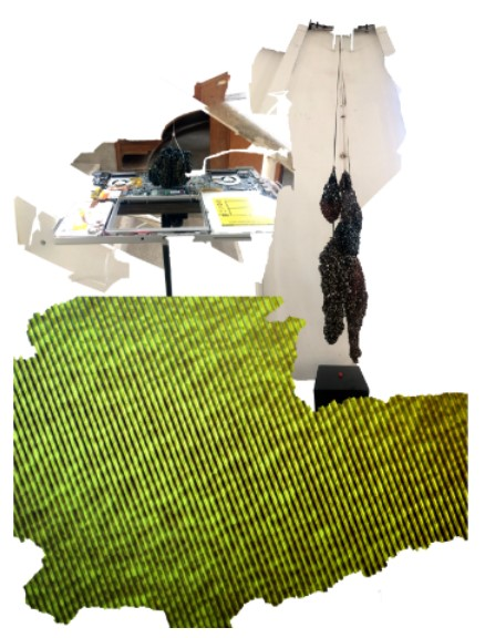 A collage of snipets of photos and graphics.