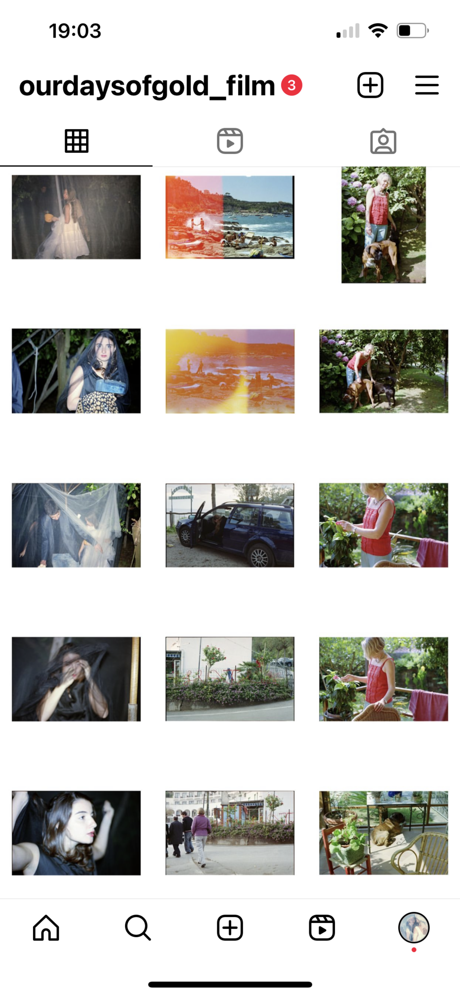 This Instagram grid shows fifteen photographs arranged in a 3x5 format. The images include a person in a white dress standing outdoors at night, a seashore scene with a light leak, and a person in a red top with a dog among hydrangeas. Other images show a figure in a leopard-print garment partially covered by a black veil, a second seashore scene with waves and a light leak, and a person in a red top outdoors with two dogs. Two people appear under a translucent net outdoors at night, while another image shows a person exiting a dark blue car. Several photographs depict a person in a red sleeveless top tending to plants, alongside an image of a person partially obscured by black fabric, and a roadside view of a flowerbed with a small tree. The grid also includes a woman in a black garment adjusting sheer fabric, a group of people walking away along a roadside, and a dog lying under a table on a terrace.