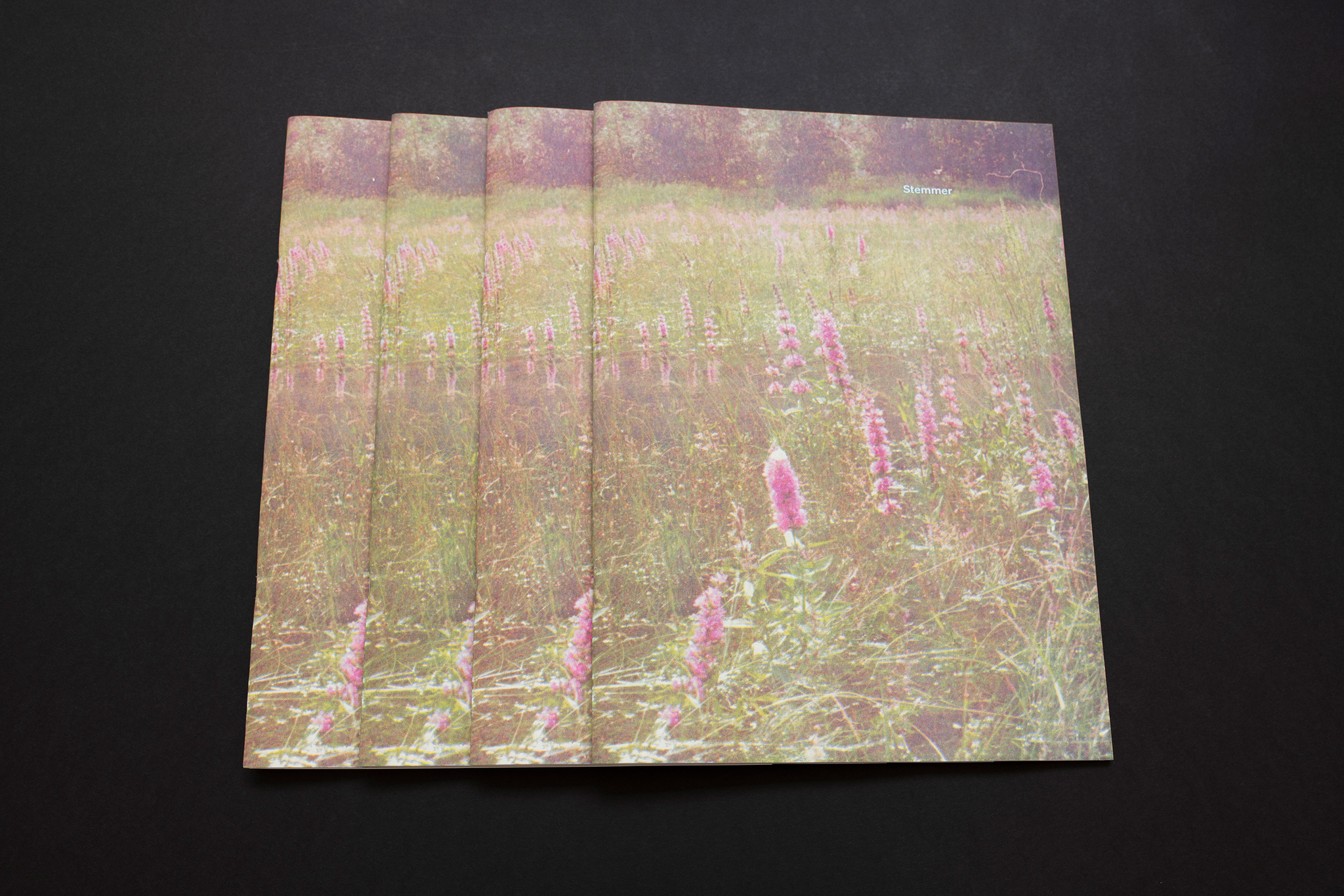 Stemmer / Voices publication